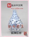 都市藏真笔趣阁无弹窗 都市藏真笔趣阁无弹窗