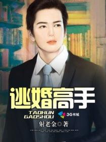 逃婚高手楚扬全文免费版 逃婚高手楚扬全文免费版