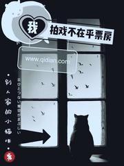 我拍戏不在乎票房 别人家的小猫咪 我拍戏不在乎票房 别人家的小猫咪