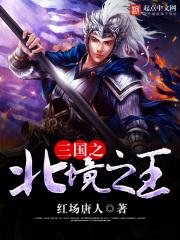 三国之北境之王韩湛 三国之北境之王韩湛