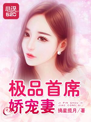 极品首席娇宠妻 极品首席娇宠妻