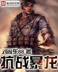 抗战暴龙 抗战暴龙