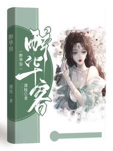 寂灭万乘有后续么 寂灭万乘有后续么