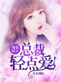 辣妻似火:总裁,轻点爱! 辣妻似火:总裁,轻点爱!