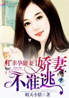幸孕甜妻:娇妻,不准逃 幸孕甜妻:娇妻,不准逃