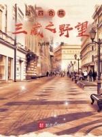 四合院:三藏之野望 四合院:三藏之野望