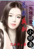 先做后爱:总裁夜驯小娇妻 先做后爱:总裁夜驯小娇妻