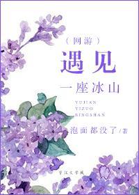 遇见一座冰山(网游) 遇见一座冰山(网游)