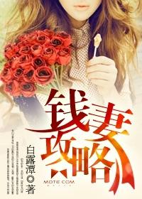 钱妻攻略 钱妻攻略