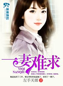 一妻难求 一妻难求