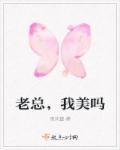 到底谁才是超能力者 伊尔迷家的猫 到底谁才是超能力者 伊尔迷家的猫
