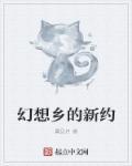幻想乡的新约 幻想乡的新约
