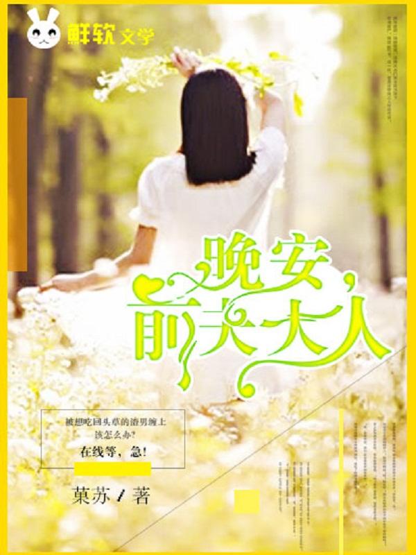 晚安,前夫大人 晚安,前夫大人