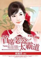 首席老公太霸道:宝贝,别闹 首席老公太霸道:宝贝,别闹