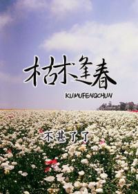 枯木逢春 枯木逢春