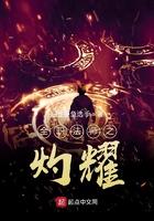 全职法师之灼耀 全职法师之灼耀