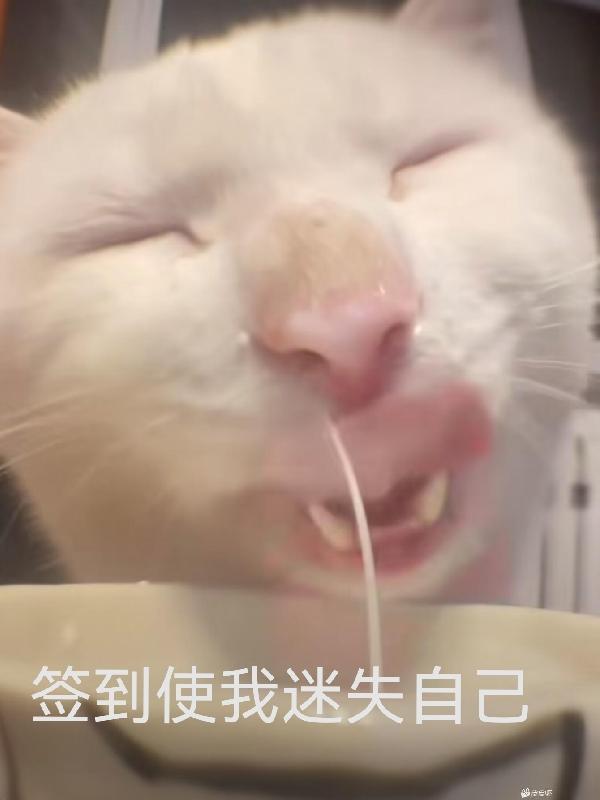 签到使我迷失自己 签到使我迷失自己