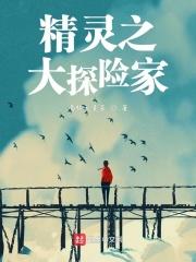 精灵之大探险家 精灵之大探险家