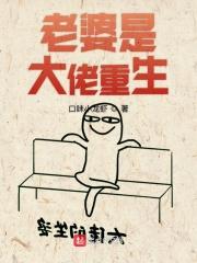 老婆是大佬重生 老婆是大佬重生